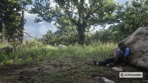 komplettlösung red dead redemption 2.